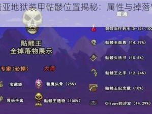 泰拉瑞亚地狱装甲骷髅位置揭秘：属性与掉落物品详解