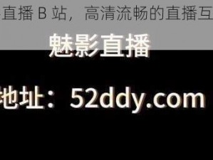 魅影直播 B 站，高清流畅的直播互动平台