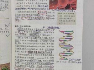 《生物课堂高光时刻：全班见证下的精彩实践》