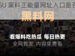 福利 SU 黑料正能量网址入口是否安全可靠？