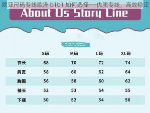 欧亚尺码专线欧洲 b1b1 如何选择——优质专线，高效稳定