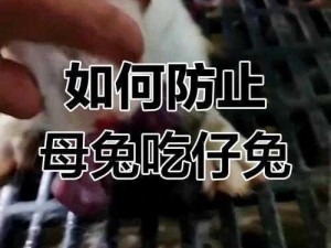 吃女生小兔兔时她一直嗯哼为什么？原来是这款产品在发挥作用