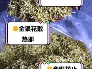 师徒 1v2 金银花，清热降火好帮手