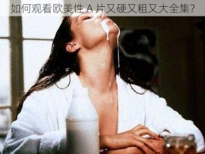 如何观看欧美性 A 片又硬又粗又大全集？