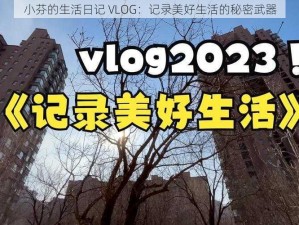 小芬的生活日记 VLOG：记录美好生活的秘密武器