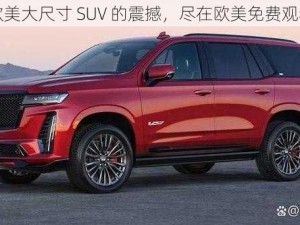 体验欧美大尺寸 SUV 的震撼，尽在欧美免费观看入口