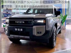 探寻尺码最大的国产 SUV——XX 品牌旗舰车型，不仅拥有霸气外观，更具备豪华舒适的内部空间