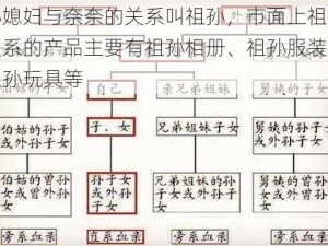 孙媳妇与奈奈的关系叫祖孙，市面上祖孙关系的产品主要有祖孙相册、祖孙服装、祖孙玩具等