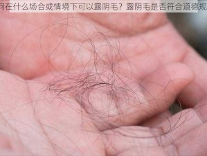 请问在什么场合或情境下可以露阴毛？露阴毛是否符合道德规范？