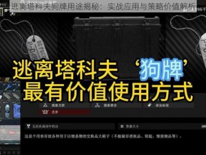 逃离塔科夫狗牌用途揭秘：实战应用与策略价值解析