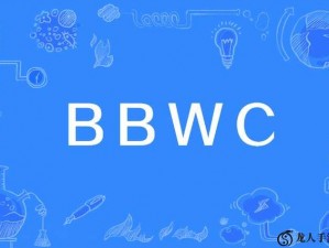 bwb 是什么意思：一款能够答疑解惑的软件