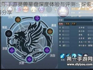 天下手游灵兽星盘深度体验与评测：探索心得分享