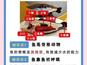 桃源秘境探秘：神秘鱼类作用解析与探索