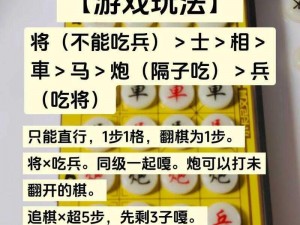 万宁象棋的魅力：游戏玩法与简介探秘