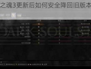 黑暗之魂3更新后如何安全降回旧版本操作指南