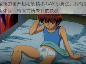 这款全新的国产初毛初精小 GAY 小男生，拥有超真实的使用体验，带来前所未有的快感