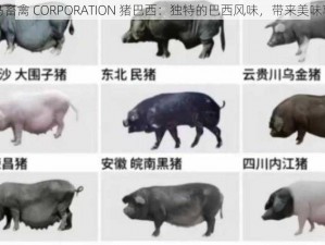 人马畜禽 CORPORATION 猪巴西：独特的巴西风味，带来美味享受