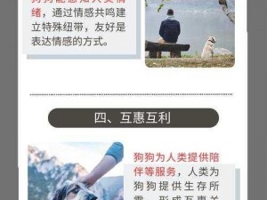 人物动物交互狗文章 BECJM：一款智能陪伴犬，带来不一样的互动体验