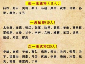 铁血三国武将最强组合推荐：关羽张飞赵云吕布黄忠联手征战沙场