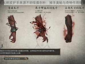 石化树皮护手来源不明怪兽剖析：掉手奥秘与奇特作用探索