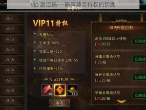 vip 激活码——畅享尊贵特权的钥匙