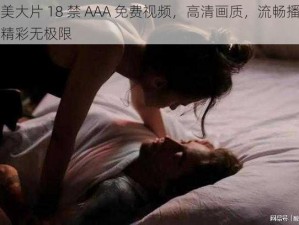 欧美大片 18 禁 AAA 免费视频，高清画质，流畅播放，精彩无极限