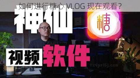 如何进行糖心 VLOG 现在观看？