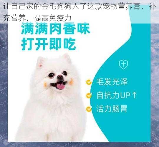 让自己家的金毛狗狗入了这款宠物营养膏，补充营养，提高免疫力