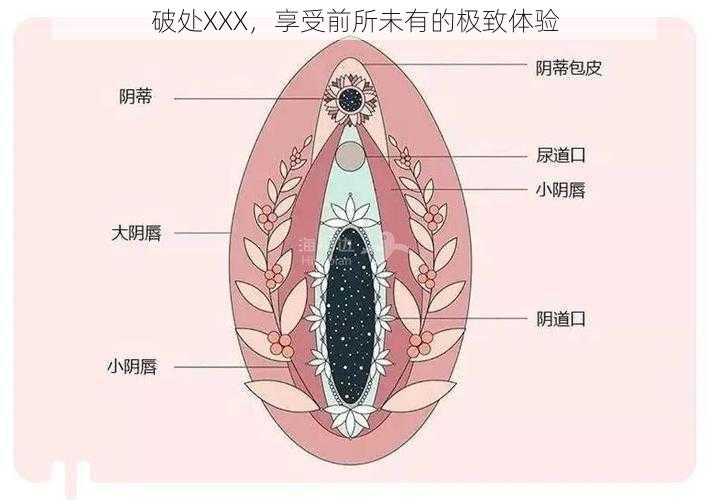 破处XXX，享受前所未有的极致体验