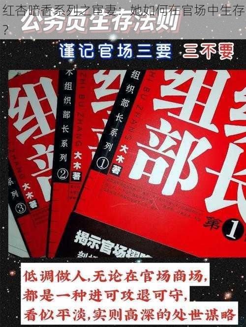 红杏暗香系列之宦妻：她如何在官场中生存？