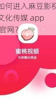 如何进入麻豆影视文化传媒 app 官网？