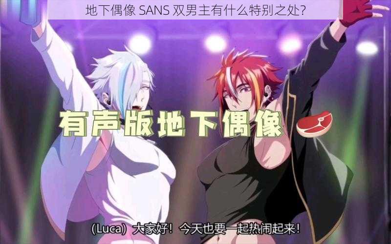 地下偶像 SANS 双男主有什么特别之处？