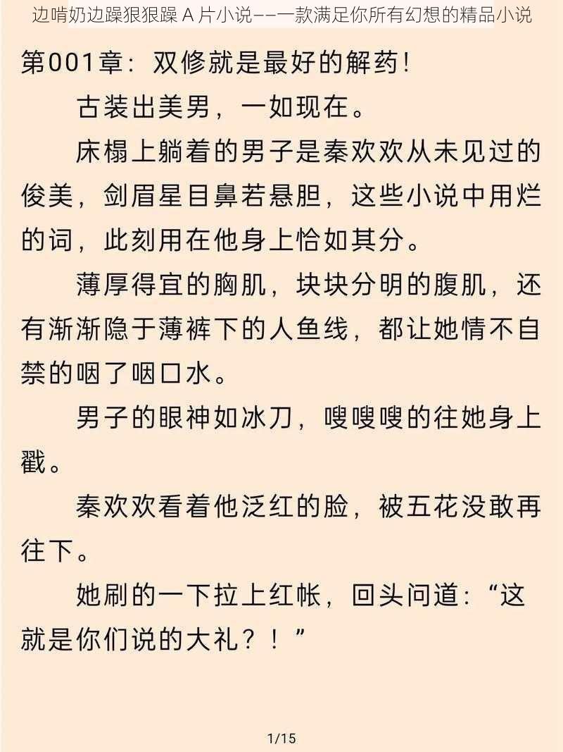 边啃奶边躁狠狠躁 A 片小说——一款满足你所有幻想的精品小说