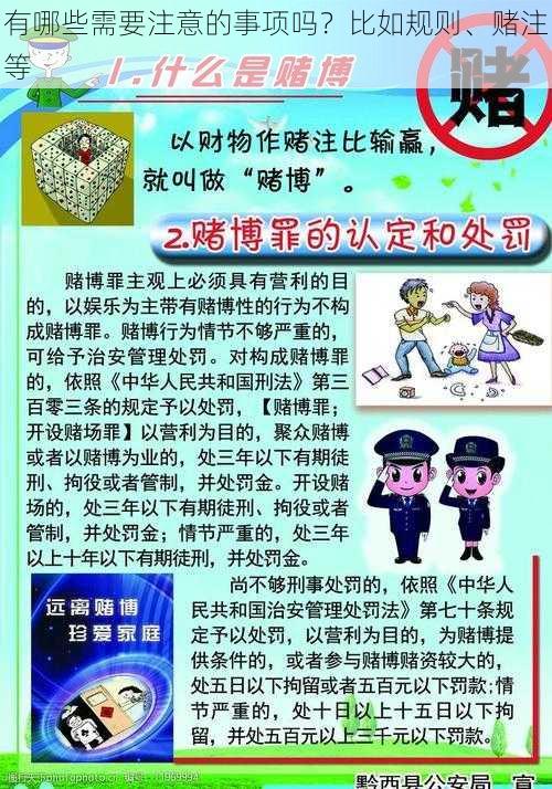 有哪些需要注意的事项吗？比如规则、赌注等