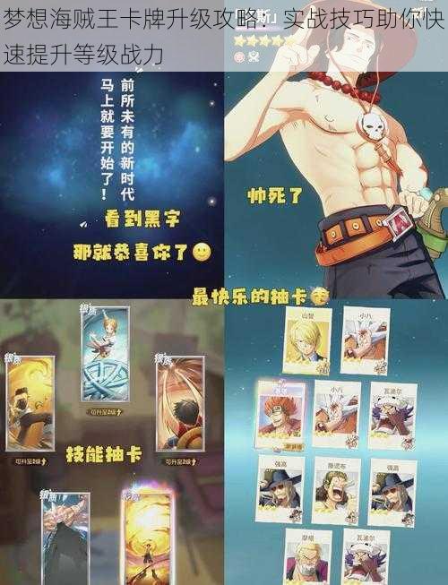 梦想海贼王卡牌升级攻略:实战技巧助你快速提升等级战力
