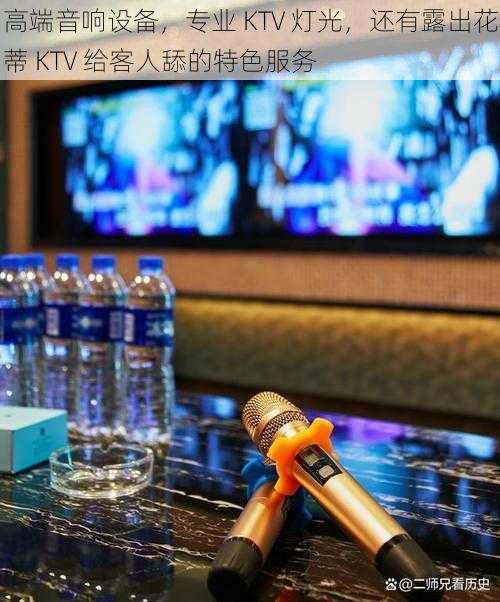 高端音响设备，专业 KTV 灯光，还有露出花蒂 KTV 给客人舔的特色服务