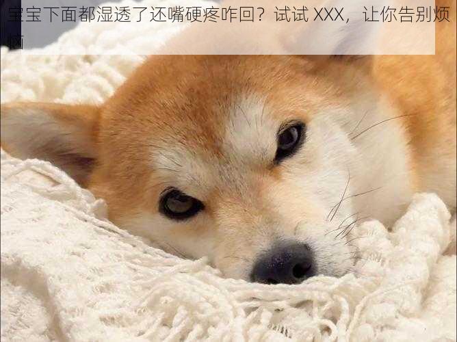 宝宝下面都湿透了还嘴硬疼咋回？试试 XXX，让你告别烦恼