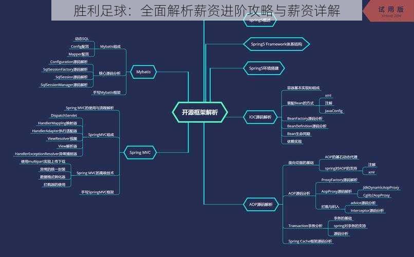 胜利足球：全面解析薪资进阶攻略与薪资详解