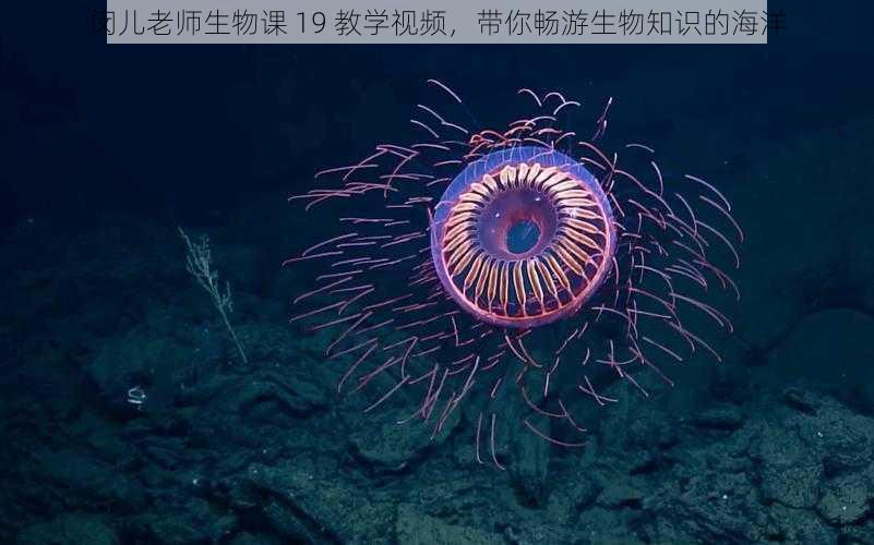 闵儿老师生物课 19 教学视频，带你畅游生物知识的海洋