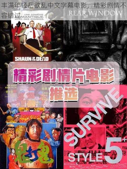 丰满年轻岳欲乱中文字幕电影，精彩剧情不容错过