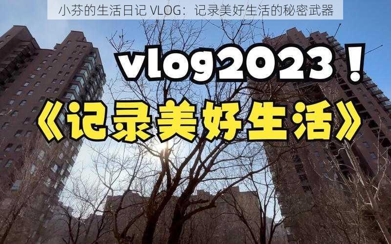 小芬的生活日记 VLOG：记录美好生活的秘密武器