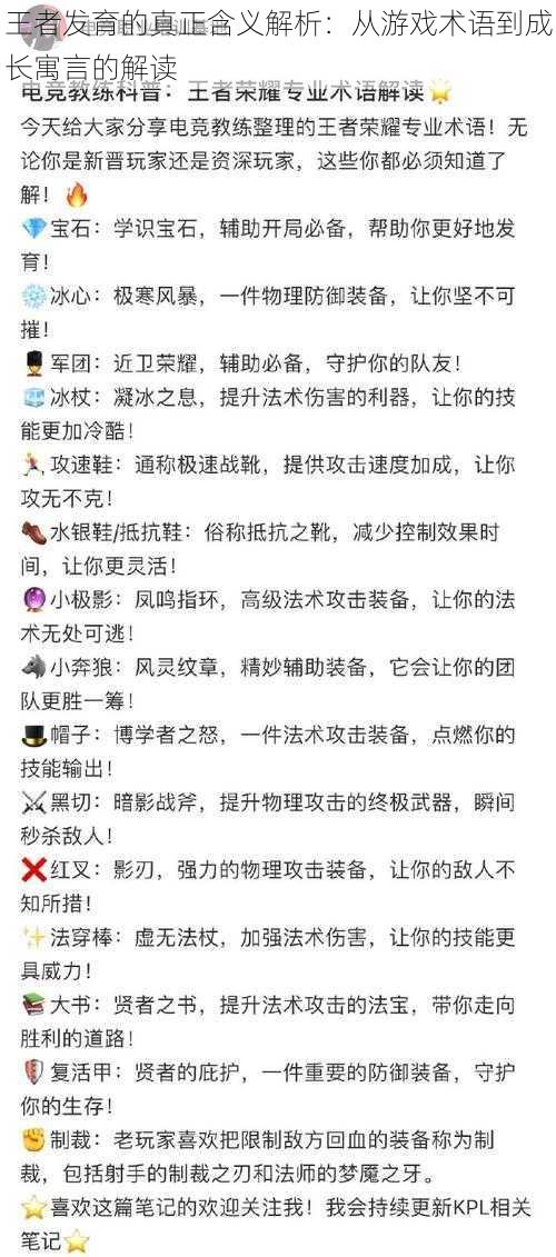 王者发育的真正含义解析：从游戏术语到成长寓言的解读