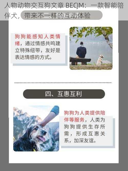 人物动物交互狗文章 BECJM：一款智能陪伴犬，带来不一样的互动体验