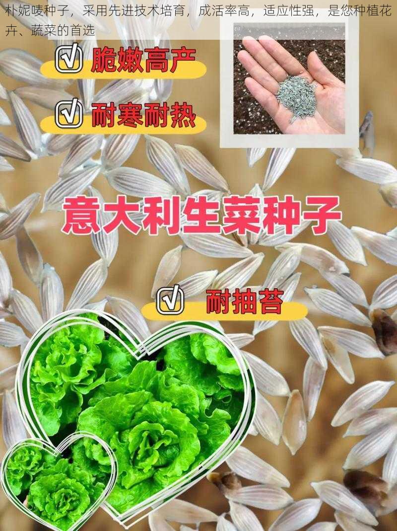 朴妮唛种子，采用先进技术培育，成活率高，适应性强，是您种植花卉、蔬菜的首选