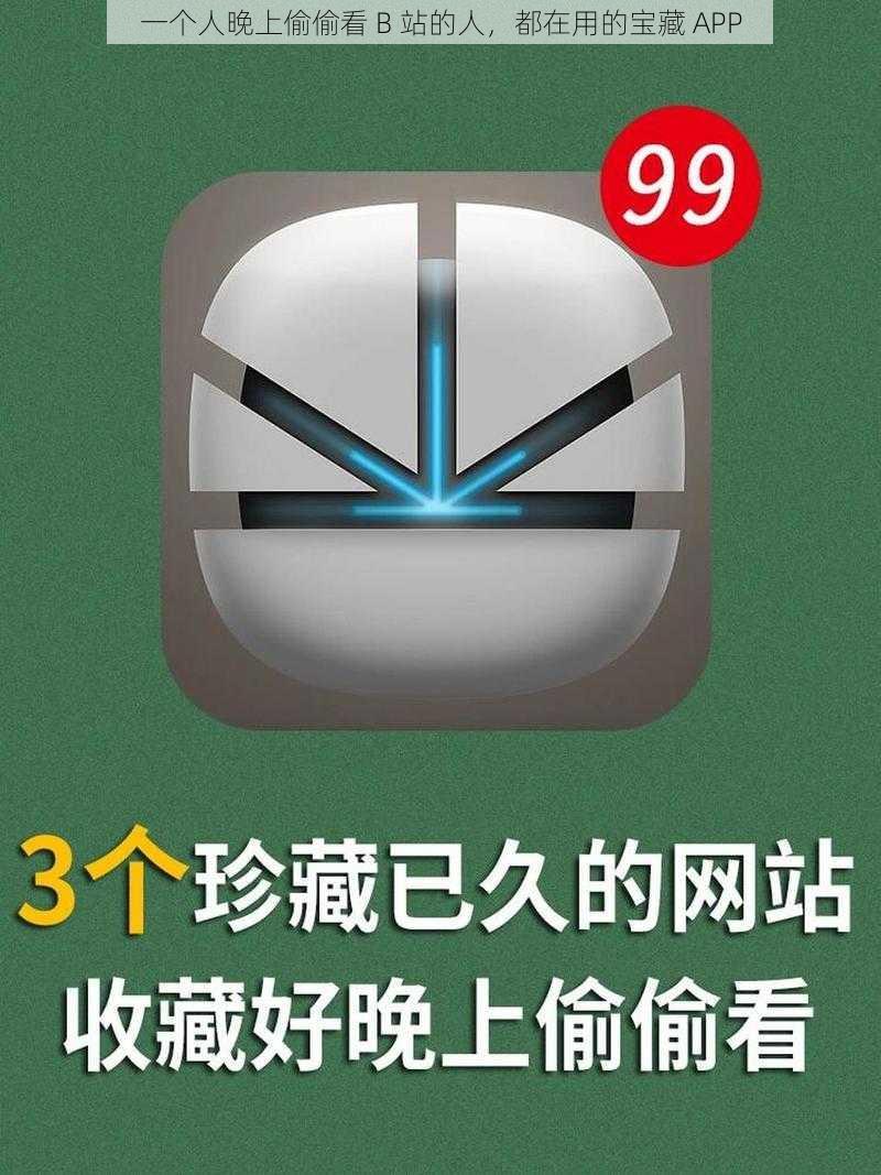 一个人晚上偷偷看 B 站的人，都在用的宝藏 APP