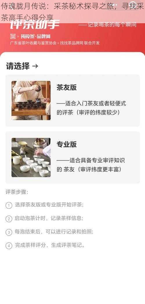 侍魂胧月传说：采茶秘术探寻之旅，寻找采茶高手心得分享