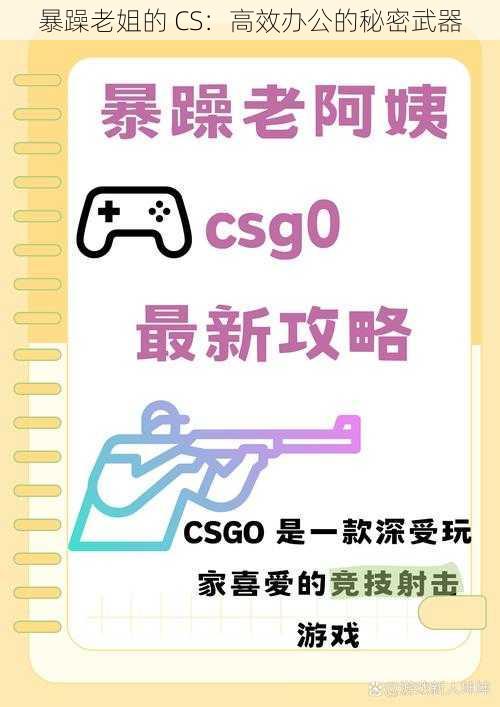 暴躁老姐的 CS：高效办公的秘密武器