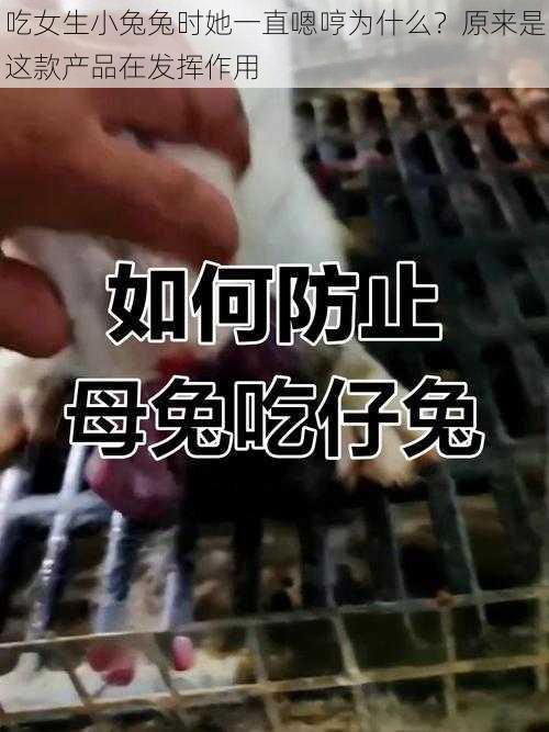 吃女生小兔兔时她一直嗯哼为什么？原来是这款产品在发挥作用