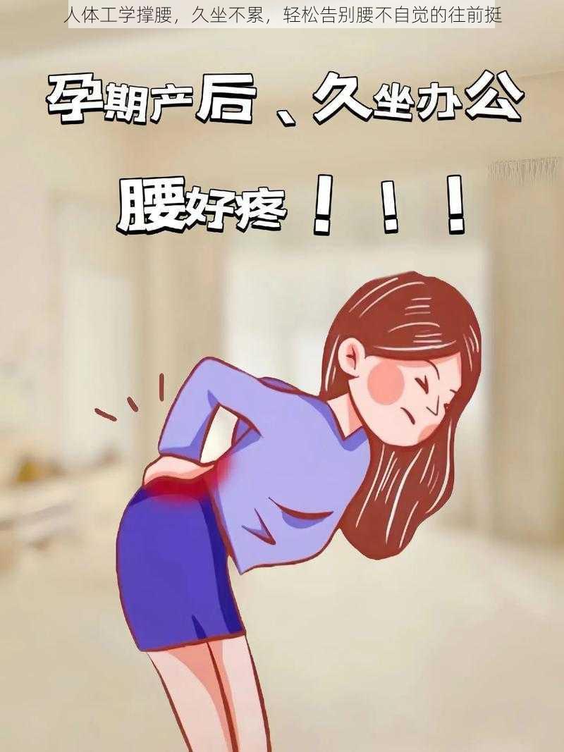 人体工学撑腰，久坐不累，轻松告别腰不自觉的往前挺