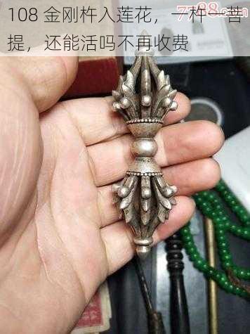 108 金刚杵入莲花，一杵一菩提，还能活吗不再收费